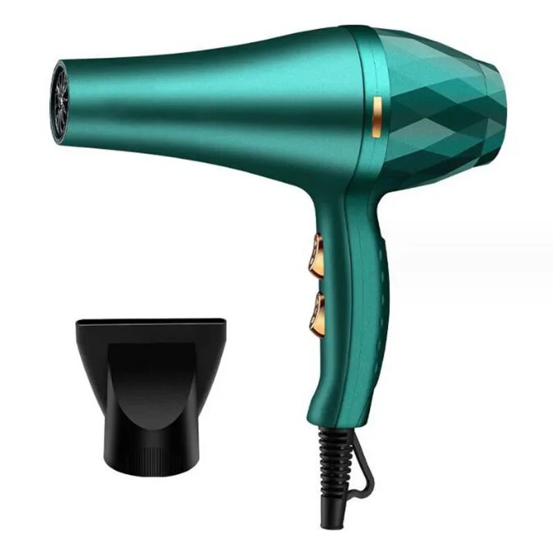 Professional Hair Dryer