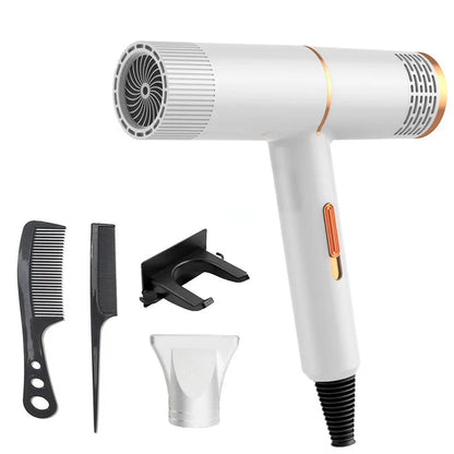 Anion Hair Dryer Professional High-Speed Thermostat