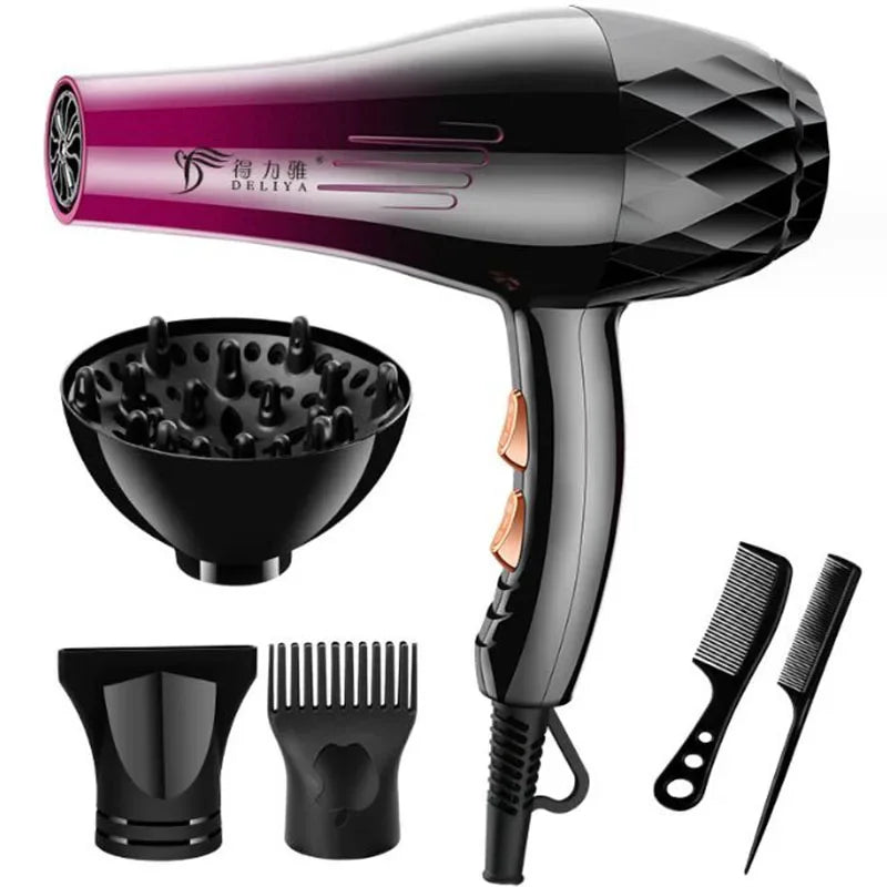 Professional Hair Dryer